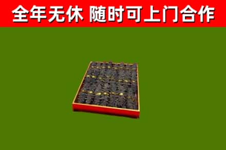 安化回收海参